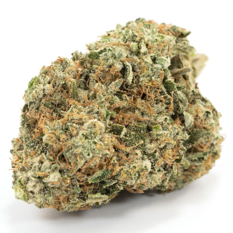 Ice Wreck Indica