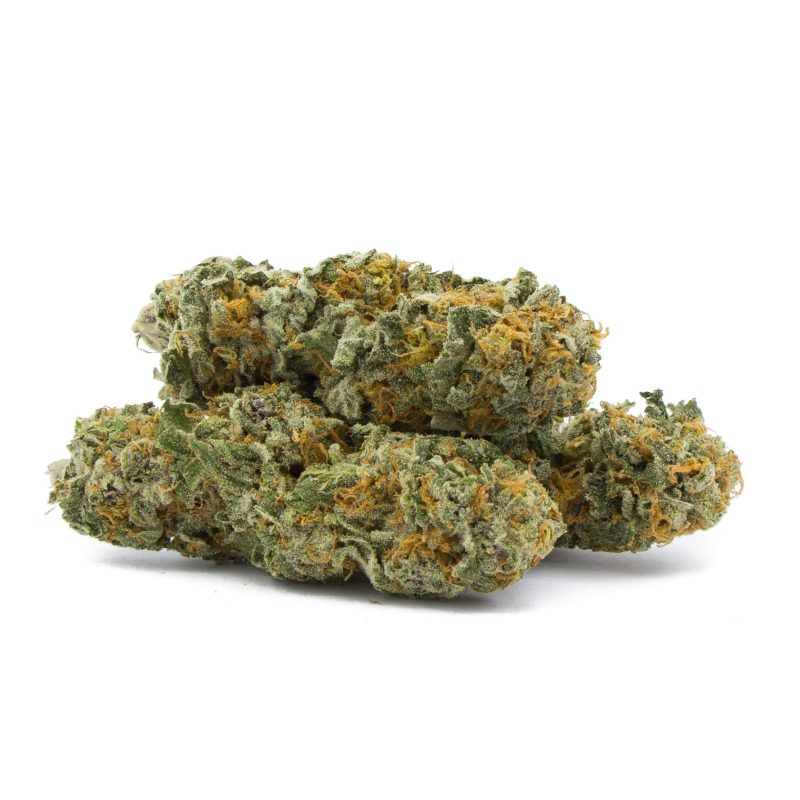 Jaggermeister By Consortium Collective Hybrid