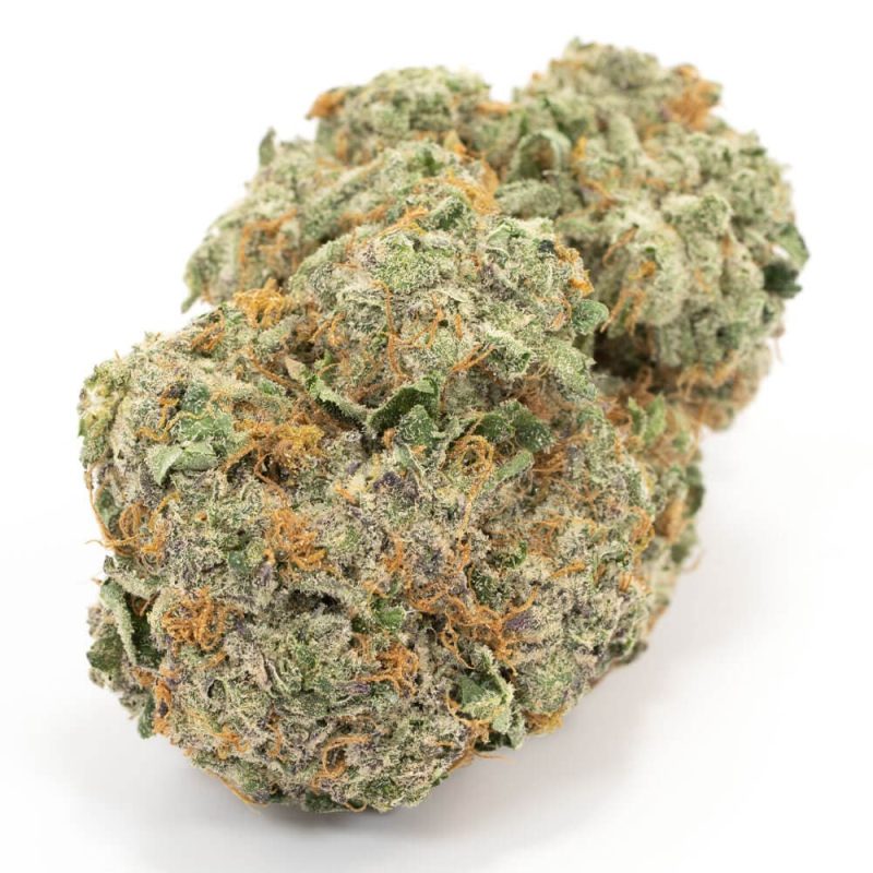 Mataro Blue Indica