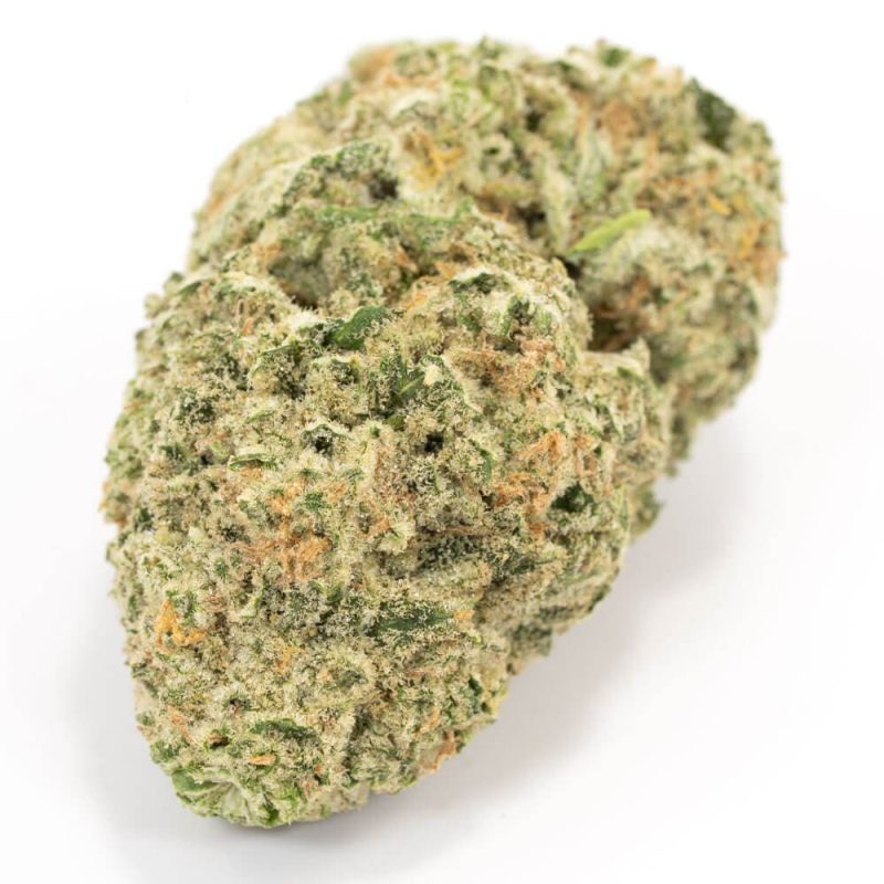 Strawberry Cough Sativa